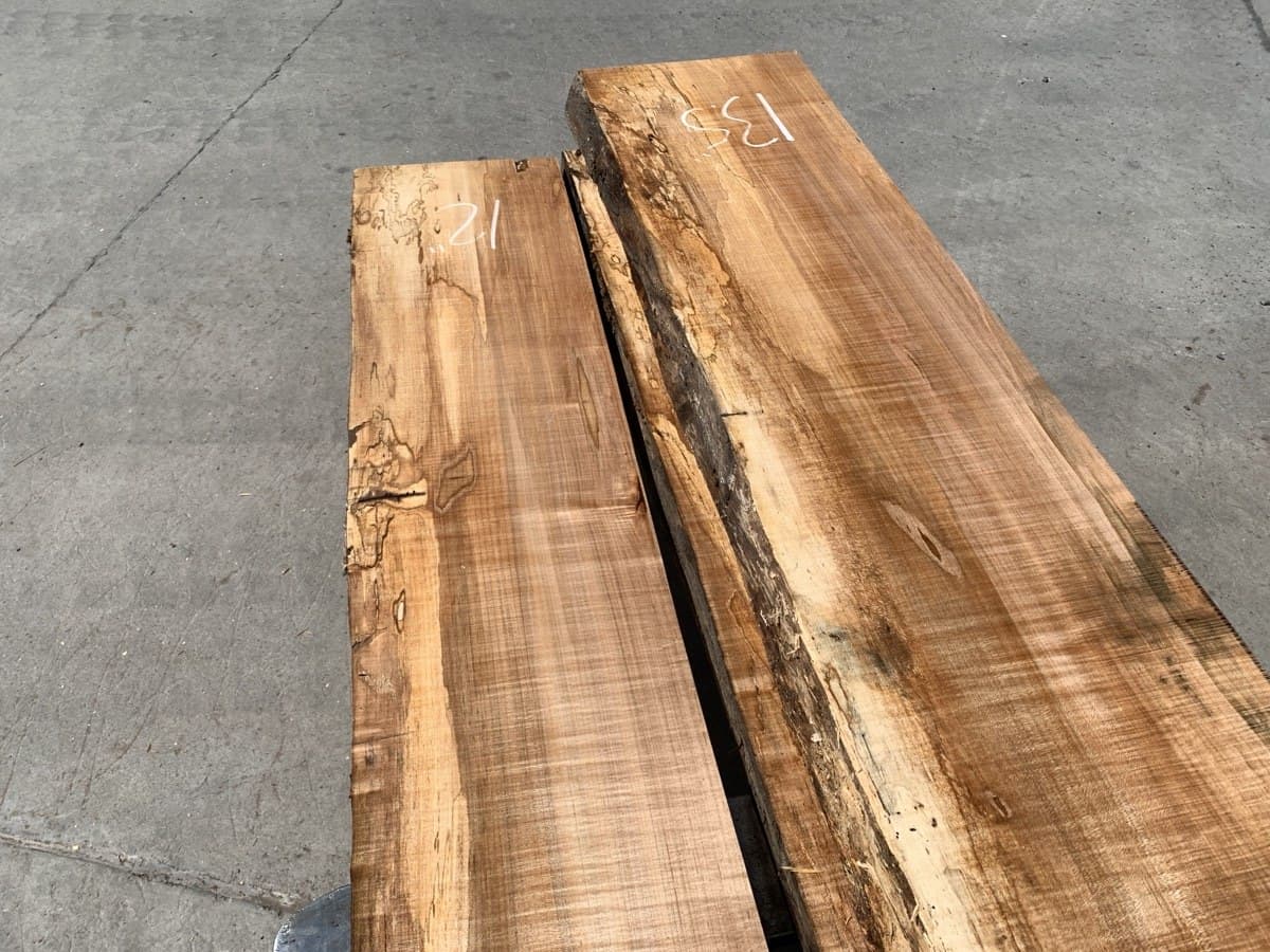 Two spalted maple boards on the shop floor, black spalting lines running through curly figure